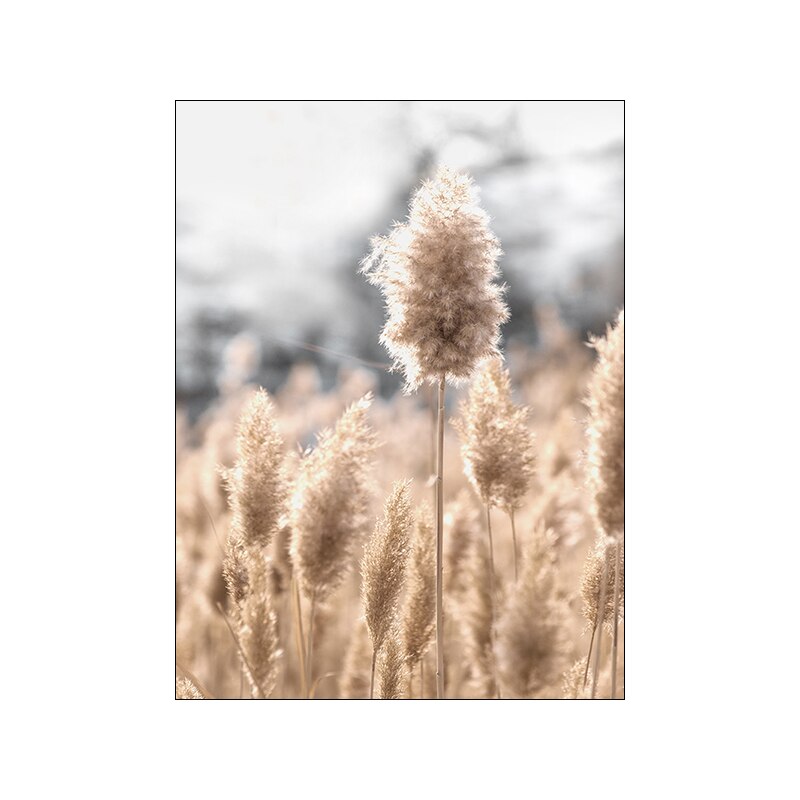 Modern Autumn Landscape