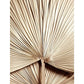 Abstract Line Figure