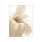 Golden White Flower Details