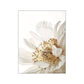 Golden White Flower Details