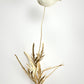 Abstract Golden Flower White