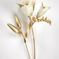 Abstract Golden Flower White